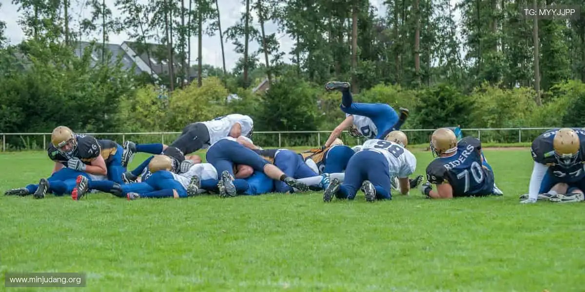 正规博彩平台查询：一键查询平台资质，远离虚假黑平台